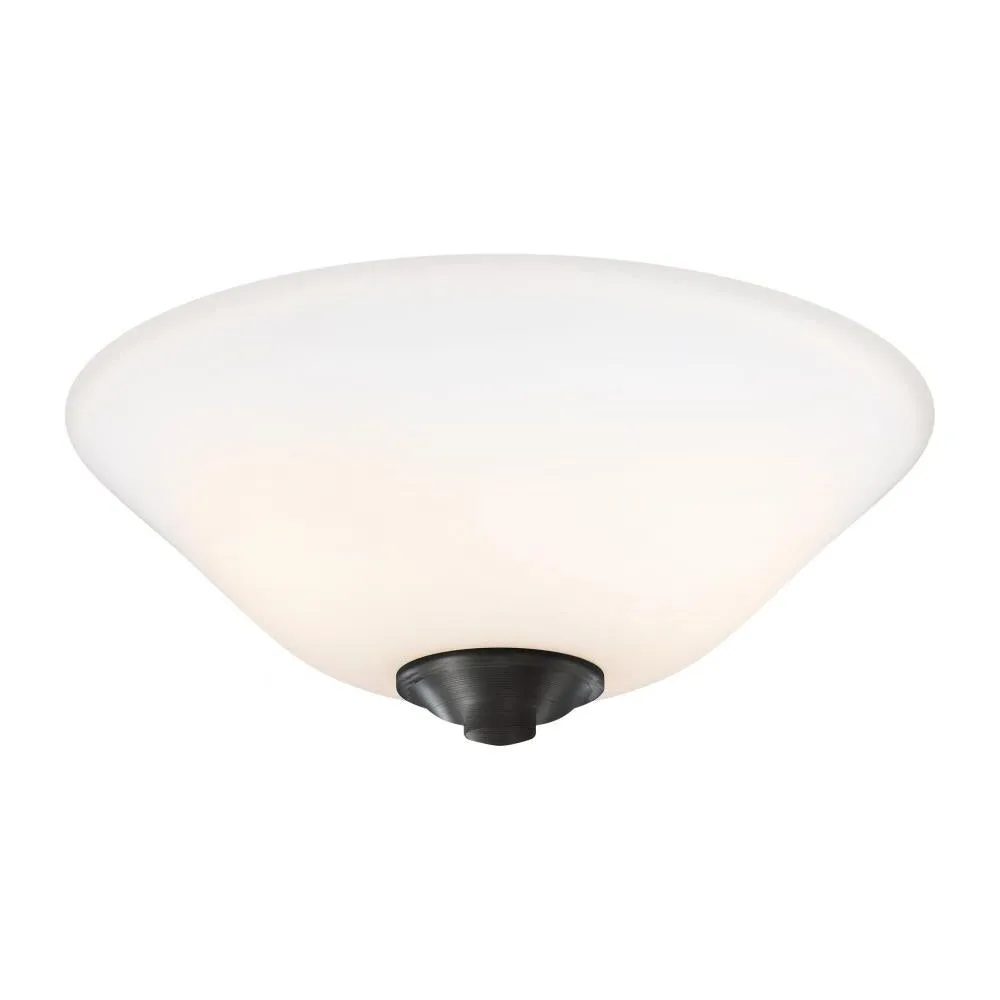 2-Light LED Light Kit