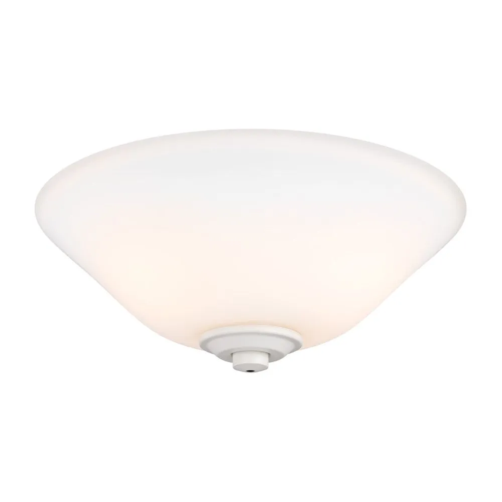 2-Light LED Light Kit