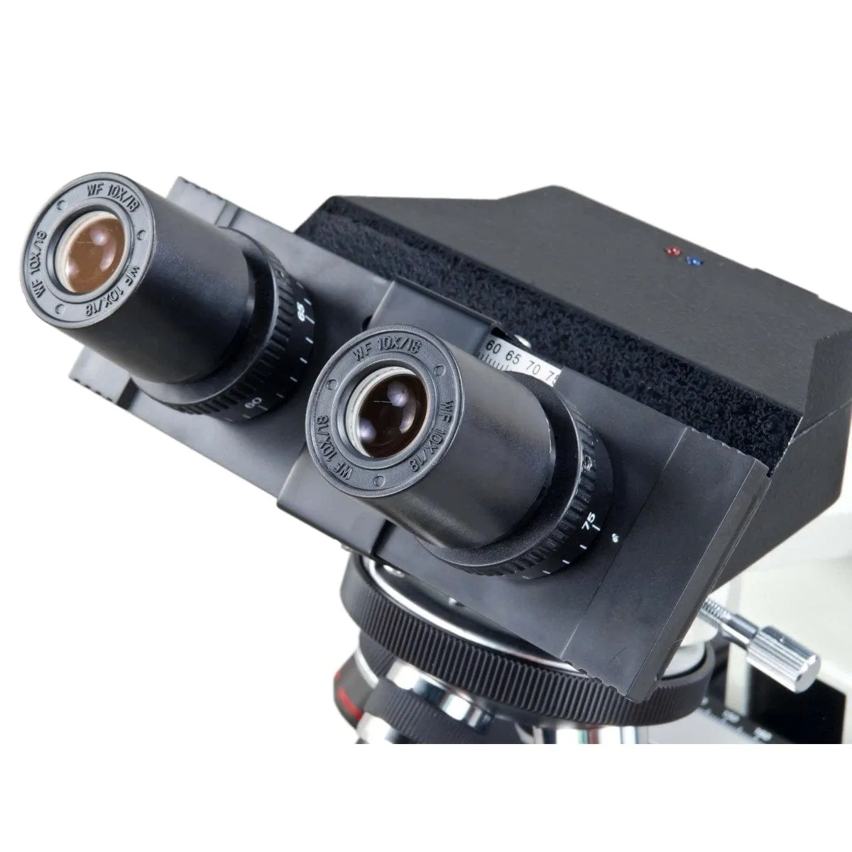 40X-2000X 3MP Digital Integrated Microscope with Halogen Illumination   Blank Slides, Tissues