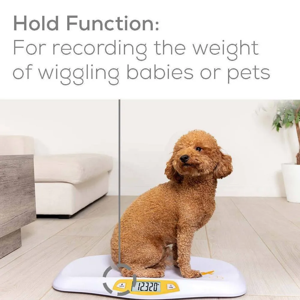 Beurer BY80 Digital Baby Scale