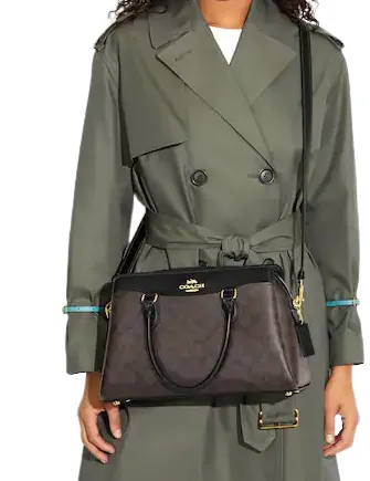 Coach Darcie Carryall In Signature Canvas