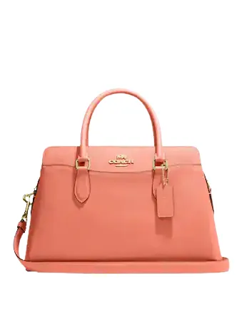 Coach Darcie Carryall