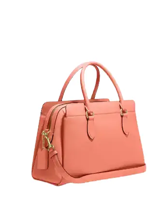 Coach Darcie Carryall