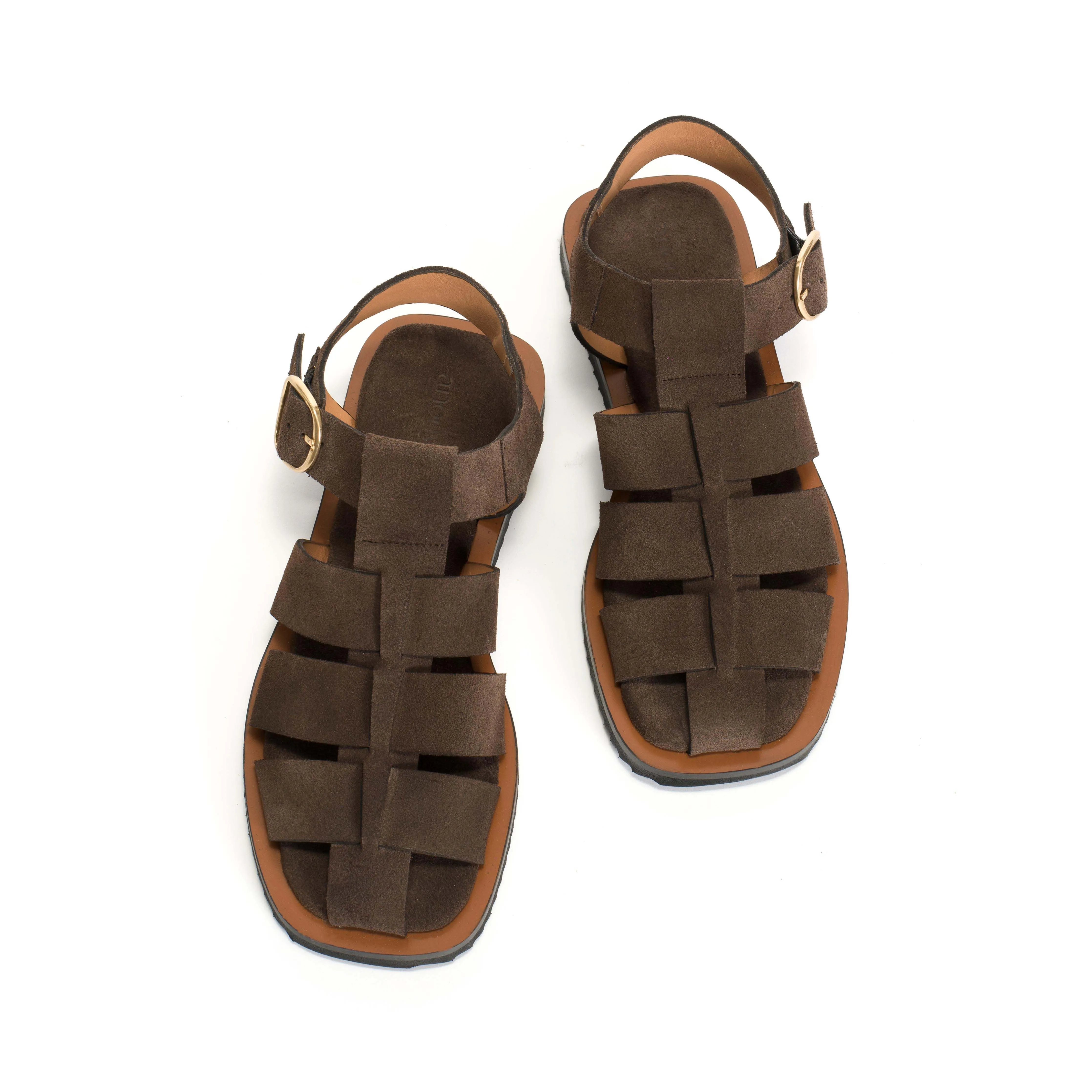 Hampell Calf suede Coffee brown