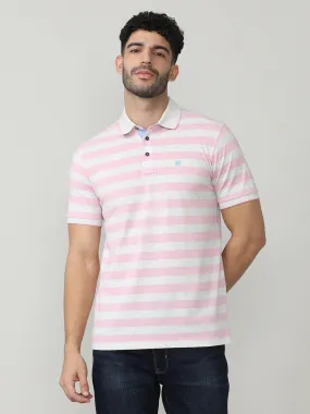 Pink Pique Stripes Polo T-shirt With Tipping Collar