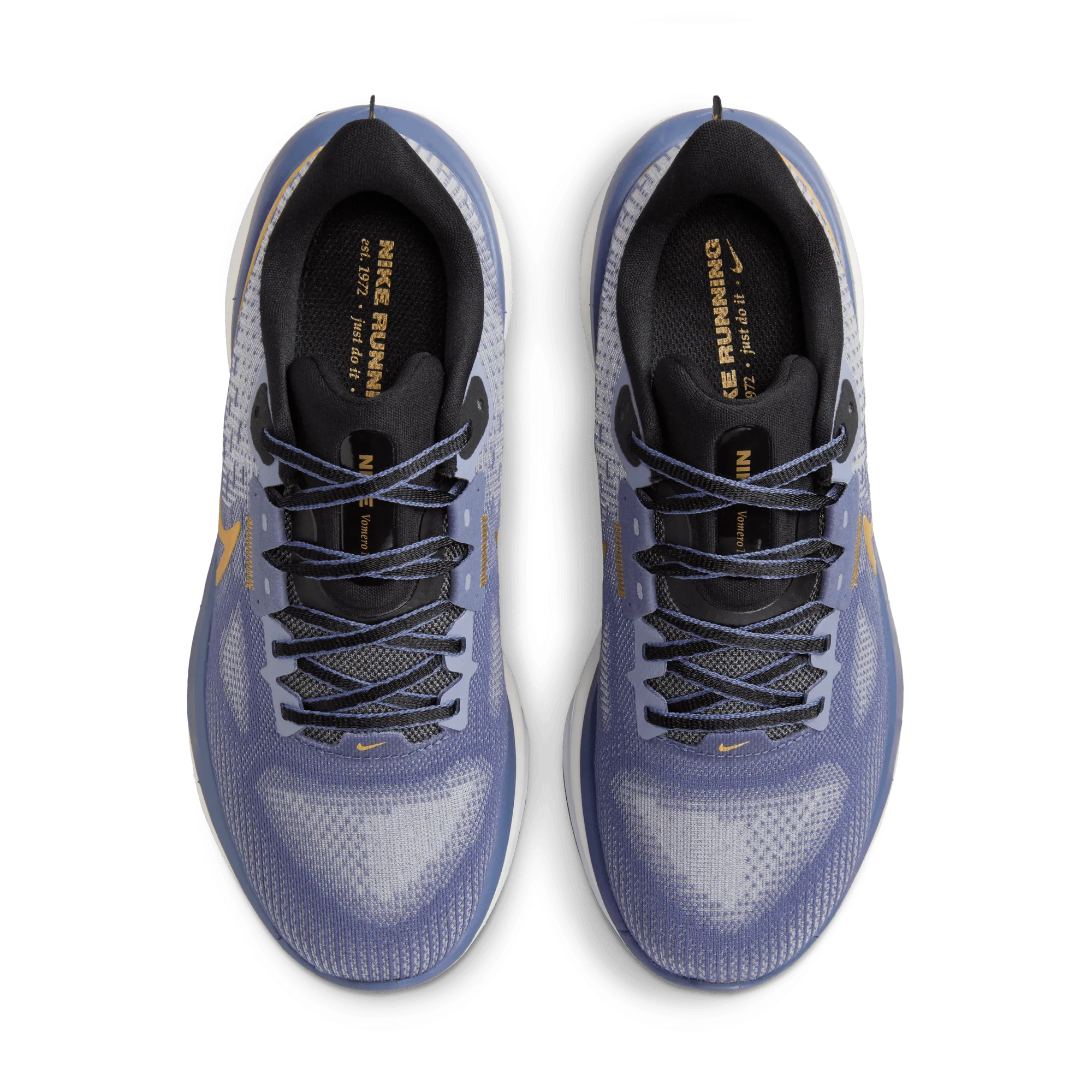 Women's Vomero 17 (400 - Diffused Blue/Metallic Gold-Ashen Slate)